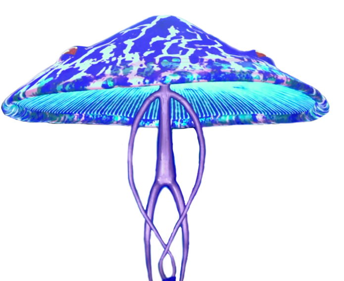 Mushroom Men - Tmnt 2012 Mushroom (708x595), Png Download