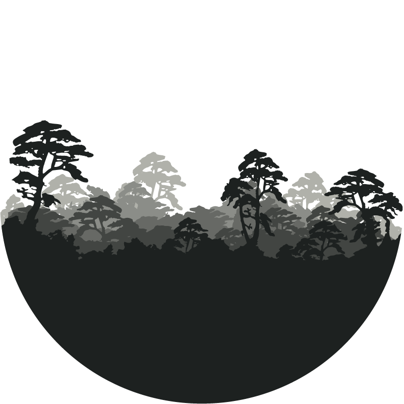 Dark Forest Png - Forest Png (801x801), Png Download