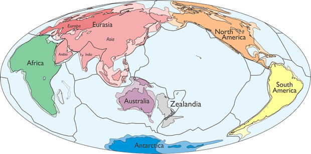 Approximate Shape Of Zealandia Next To Australia - Zealandia Continent (620x307), Png Download