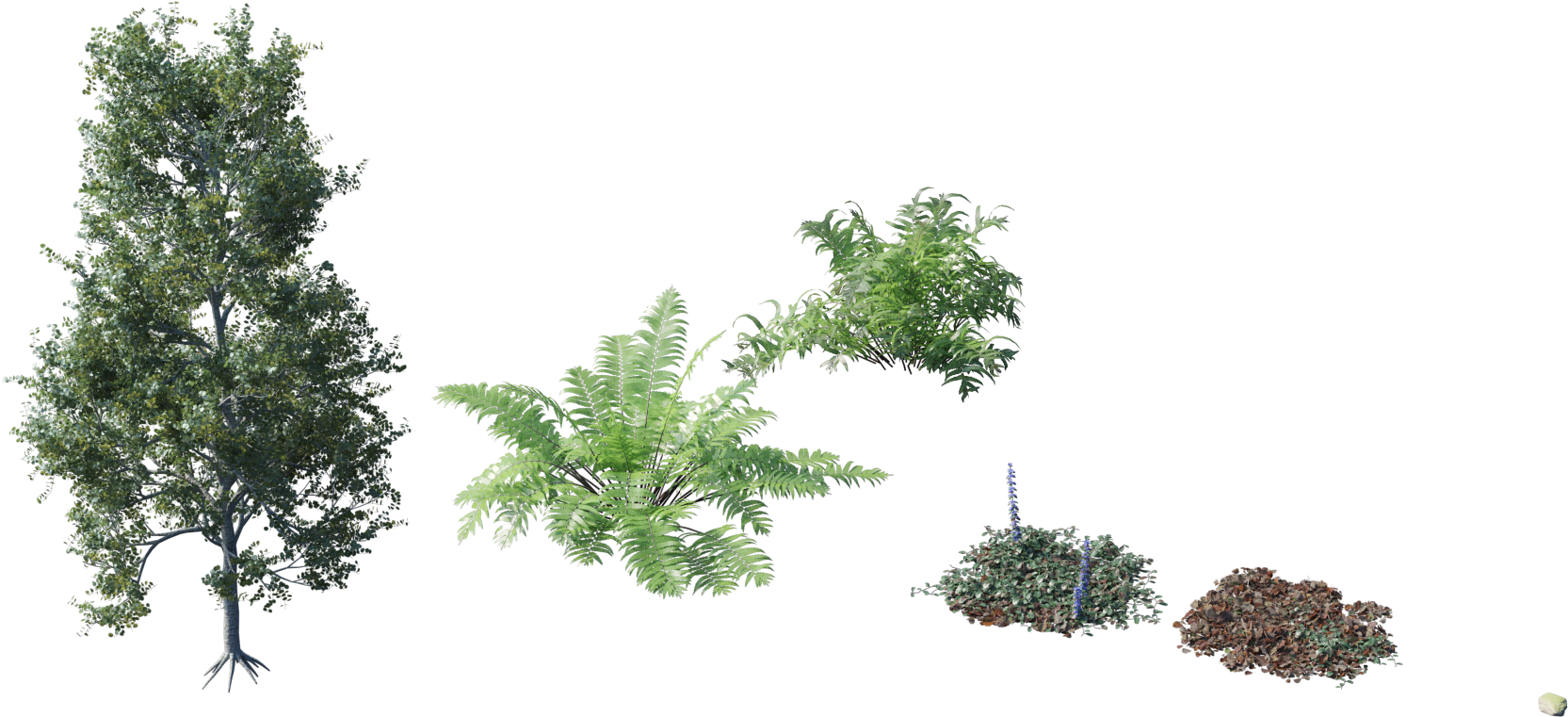 Randomising Procedural - - Forest Plant Png (1769x801), Png Download
