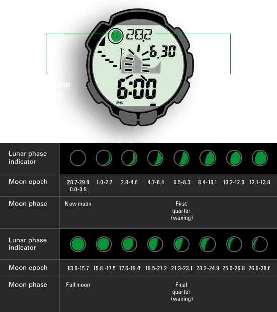 The Moon Phase Display On The Watch Is The Result Of - Casio Tide Graph (550x620), Png Download