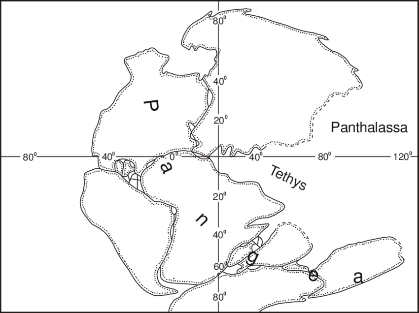 Position Of The Continents Of The Beginning Of The - Diagram (850x636), Png Download