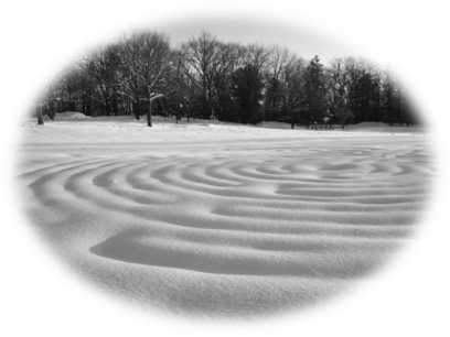 Facilitylabyrinth - Tree (408x306), Png Download