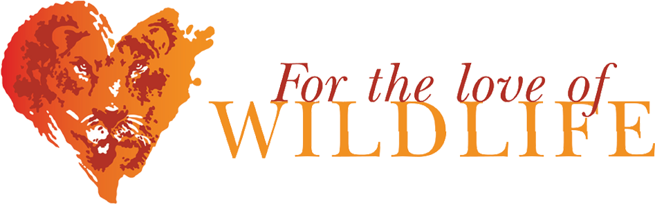 For The Love Of Wildlife - Animal Organisation (1000x348), Png Download
