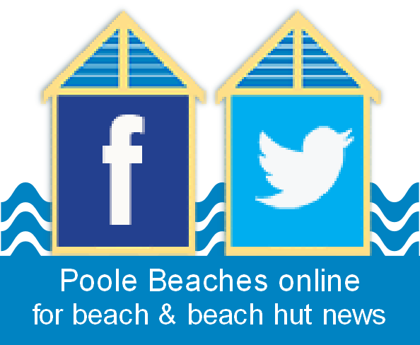 Social Media Logo For Other Websites (594x488), Png Download