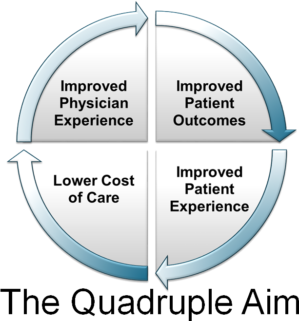 And Other Services That Will Together Help Providers - Healthcare Quadruple Aim (629x665), Png Download