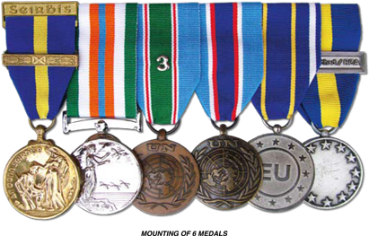 Multiple Medals - National Service Day Medal Ireland (459x272), Png Download