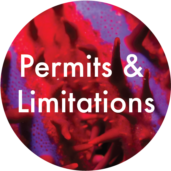 Permits-01 - Area 51 Sudan (761x711), Png Download