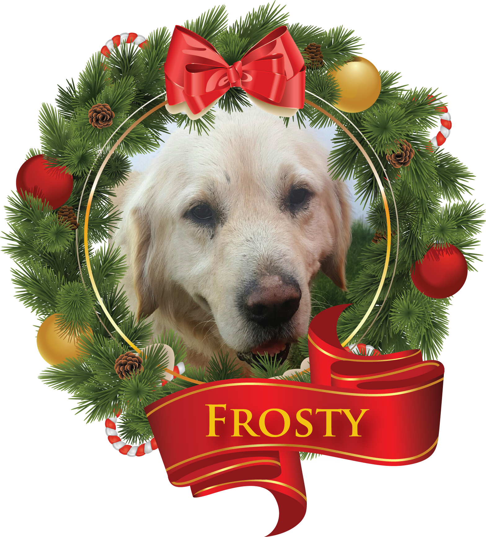 Liberty University (1568x1735), Png Download