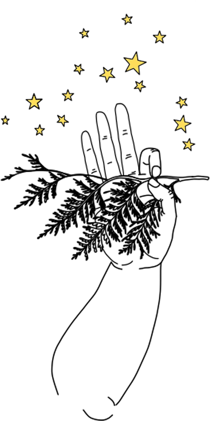 Star Seed Soul Journey - Illustration (580x900), Png Download