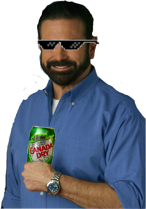 Billy Mays Has Ginger Ale - Canada Dry Diversion Safe Stash (482x692), Png Download