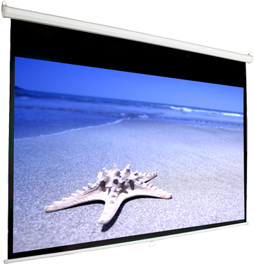 Mustang Sc-m92d169 Manual Projector Screen - White Starfish On Beach (400x400), Png Download