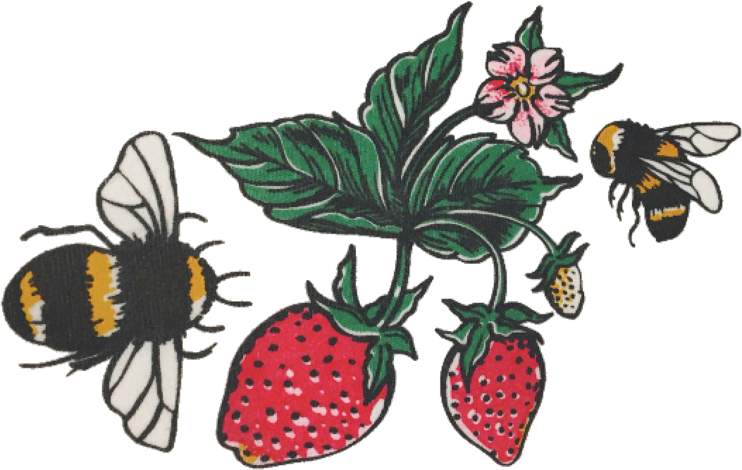 Transparent Strawberry (1130x1131), Png Download