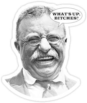 Comment Picture - Teddy Roosevelt (375x360), Png Download