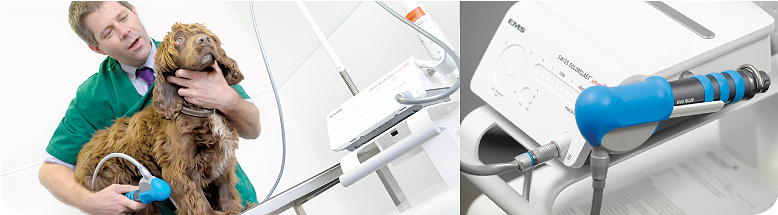 Extracorporeal Shockwave Therapy (777x340), Png Download