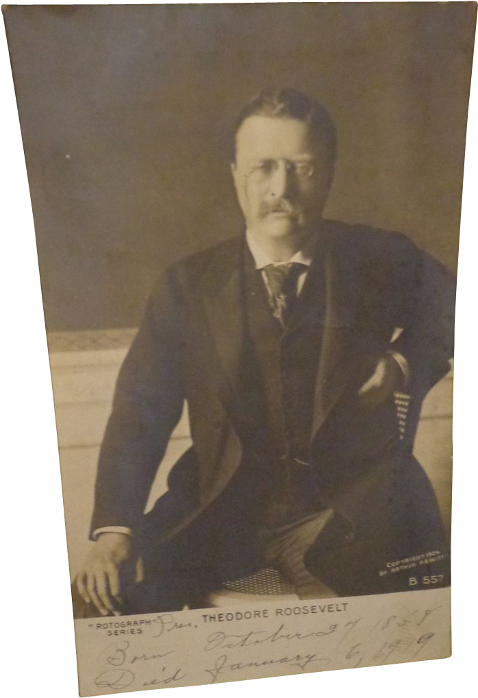 President Teddy Roosevelt Rotograph Postcard Theodore - Gentleman (1017x1017), Png Download