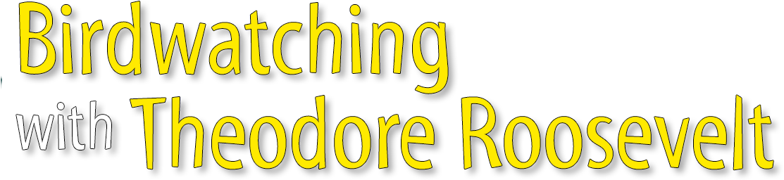 Birdwatching With Theodaore Roosevelt - Theodore Roosevelt (1112x280), Png Download