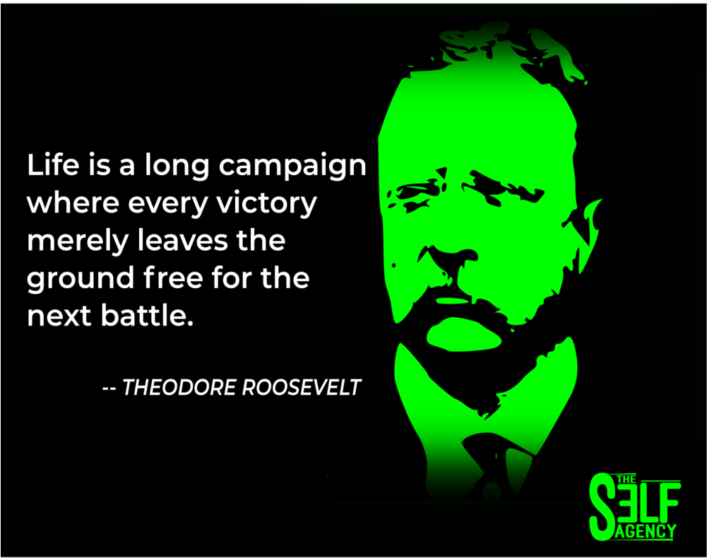 Tsa Teddy Roosevelt - Theodore Roosevelt (1000x1000), Png Download