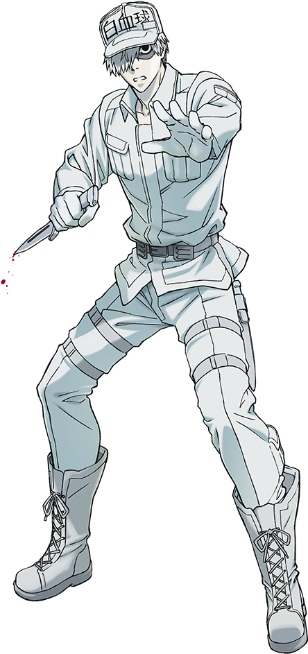 U-1146 - White Blood Cell Anime (479x956), Png Download