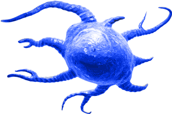 Γδ T Cell - Dendritic Cell (350x350), Png Download