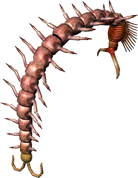 Bestiary Centipede Full - Giant Centipede (527x679), Png Download