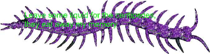 Myedit Glitter Kennedy Lyrics Centipede - Centipedes (727x240), Png Download