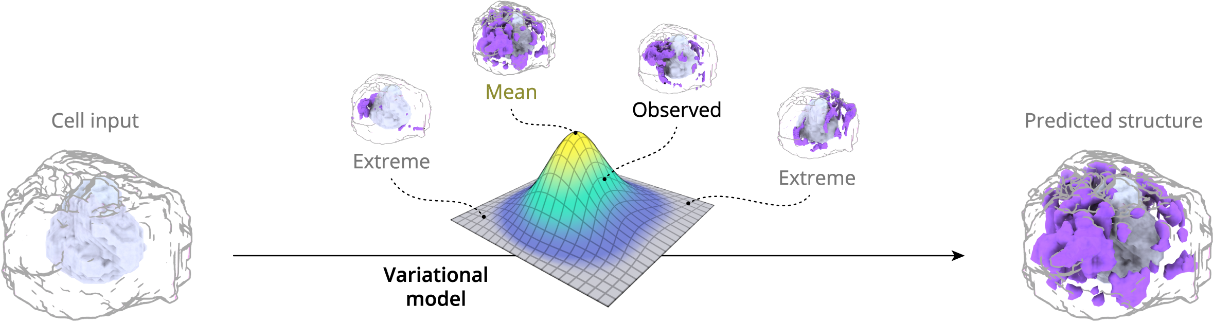 Has Been Observed For All Cells - Fecal Microbiota Transplant (2400x654), Png Download