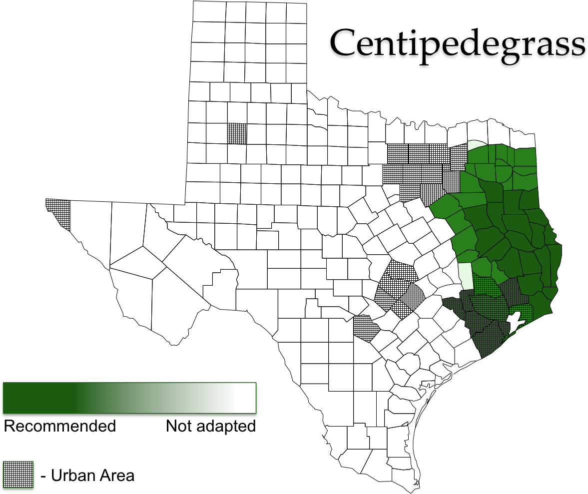 Centipedegrass Map - Alpha (1215x1004), Png Download