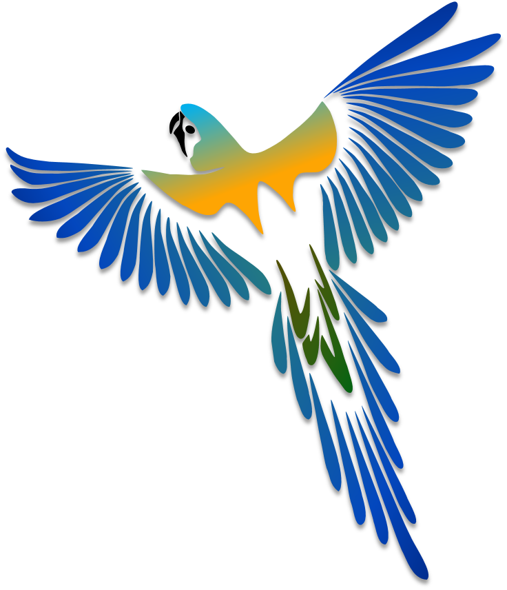 Macaw Drawing Pinterest - Parrot Tattoo Designs (736x856), Png Download