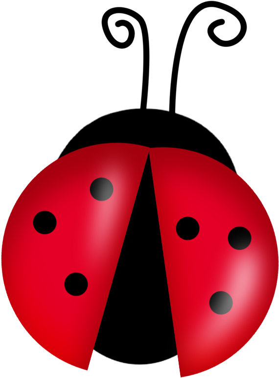 S Png Joaninhas Em - Lady Bug Cartoon (579x777), Png Download