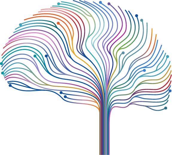 Brain Learning Network - Adhd (575x519), Png Download