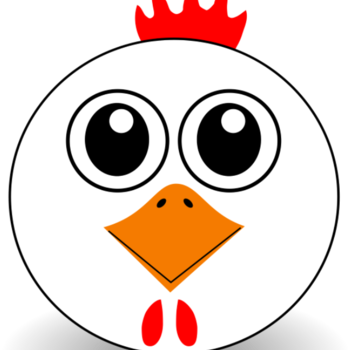 Youth Ministry Chicken Dinner - Funny Cartoon Faces Png (350x350), Png Download