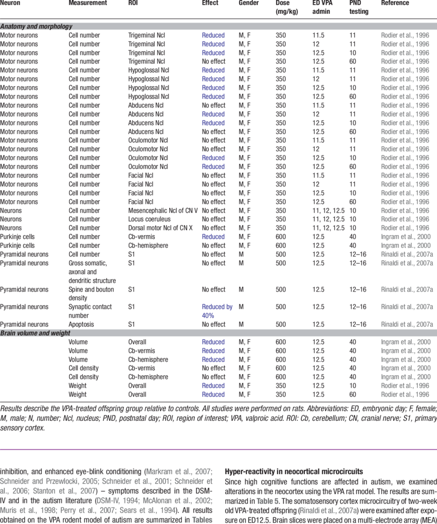 Anatomical And Morphological Alterations In The Vpa - .org (850x1021), Png Download