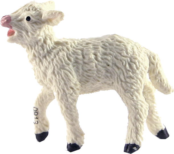 Download Amazing High-quality Latest Png Images Transparent - Lamb Png (1000x1000), Png Download