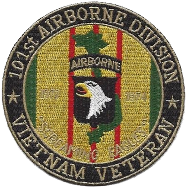 101st Airborne Infantry Division Patch Vietnam Veteran - Infantry (400x400), Png Download