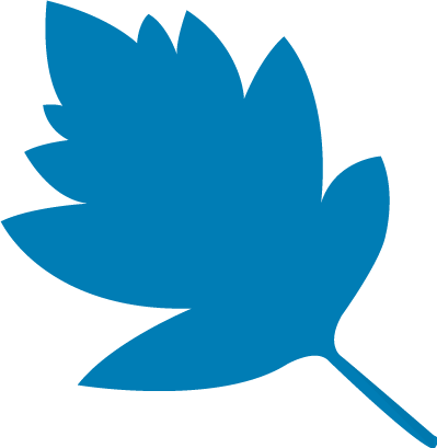 Starleaf Breeze Logo - Star Leaf (399x409), Png Download