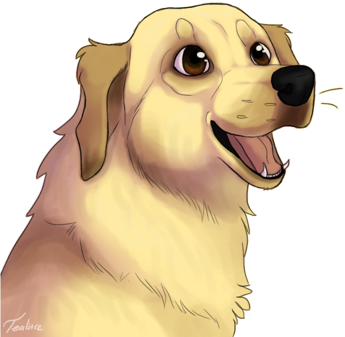Banner Transparent Download Tealitre On Twitter Borfboard - Transparent Chica The Dog (712x800), Png Download