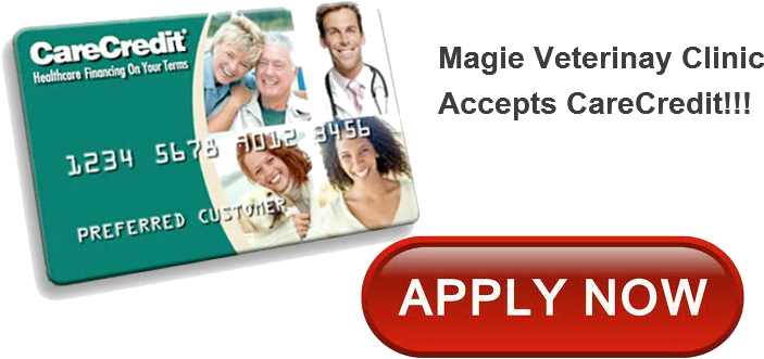 Common Vet Carecredit Q&a - Westinghouse Westinghouse Ltv-27w6 Hd - 27" Lcd Tv (730x362), Png Download