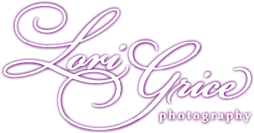 Lori Grice Photography (520x278), Png Download