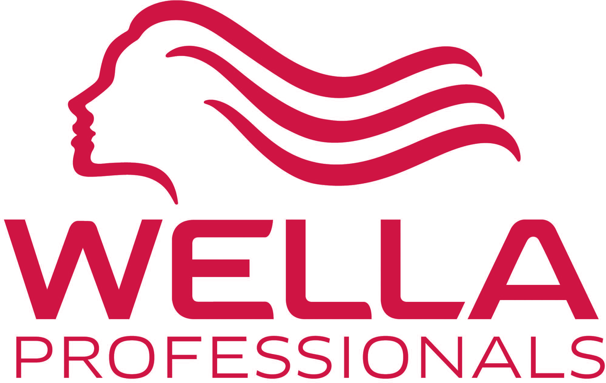 Wella Passionistas First Edit - Wella Professionals Logo (2272x1704), Png Download