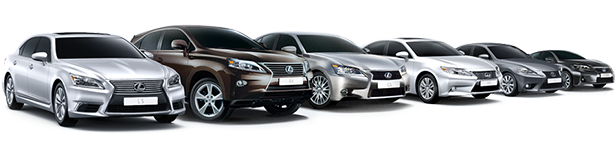 Lexus - Krasnodar (737x210), Png Download