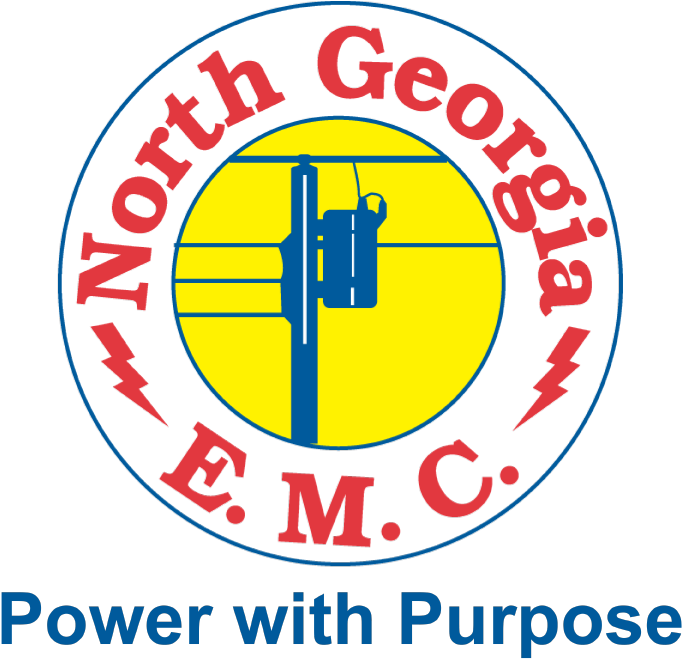 North Georgia Emc Logo (726x675), Png Download