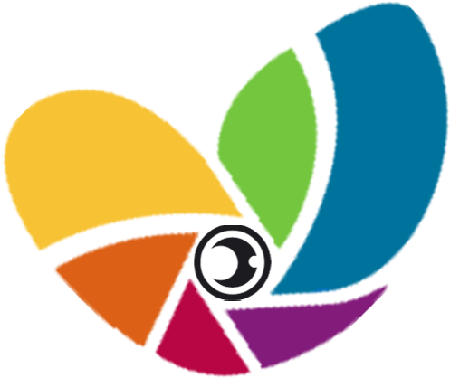 Million Dollar Portrait Prizelogo - Competition (609x607), Png Download