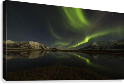 Northern Lights Over The Dempster Highway And Reflected - Northern Lights (aurora Borealis) Over The Dempster (429x290), Png Download