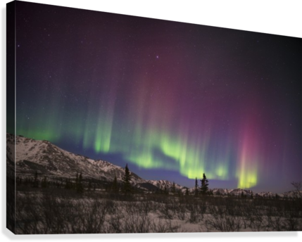Green And Pink Aurora Borealis Over The Alaska Range (429x344), Png Download