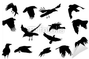 Flying Crows Png Crows Flying, Vector Silhouette Collection - Crow Silhouette (400x400), Png Download