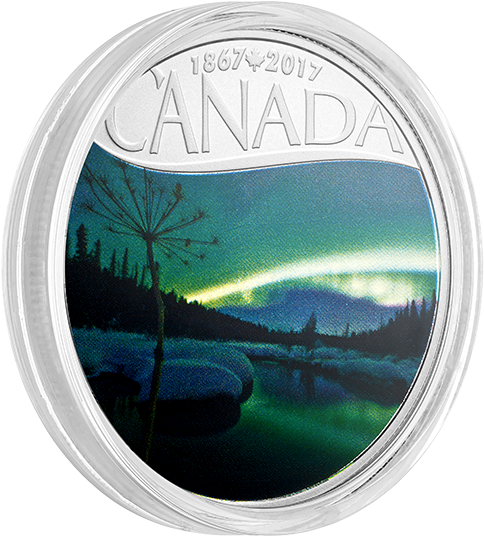 *aurora Borealis At Mcintyre Creek - Oasis (570x570), Png Download