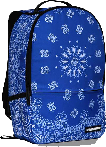 blue sprayground