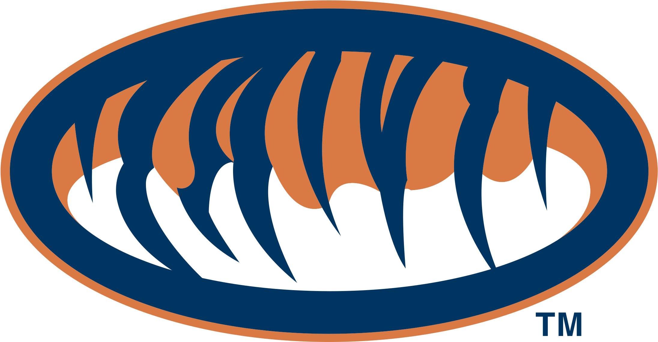 Auburn Tigers Logo Png Transparent - Auburn Tigers (2400x2400), Png Download