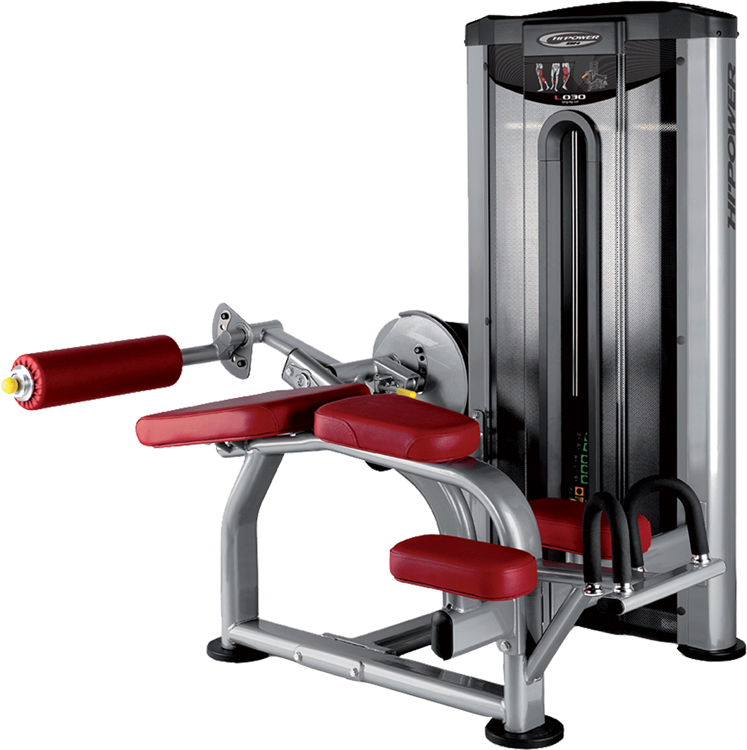 Lying Leg Curl - Bh L030 (1920x1080), Png Download